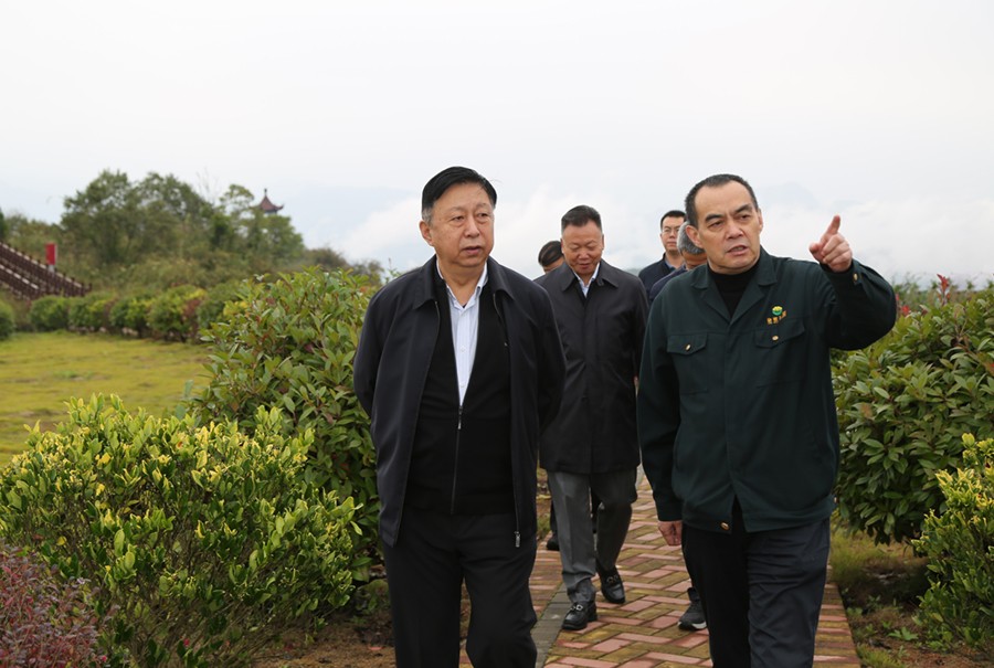 19-2021年10月，原國土資源部副部長汪民蒞臨公司調(diào)研。.jpg