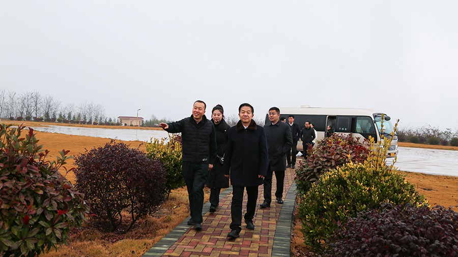 45-2020年12月，省高級人民法院黨組成員、副院長任建國蒞臨金徽股份調(diào)研知識產(chǎn)權(quán)司法保護(hù)工作。.jpg